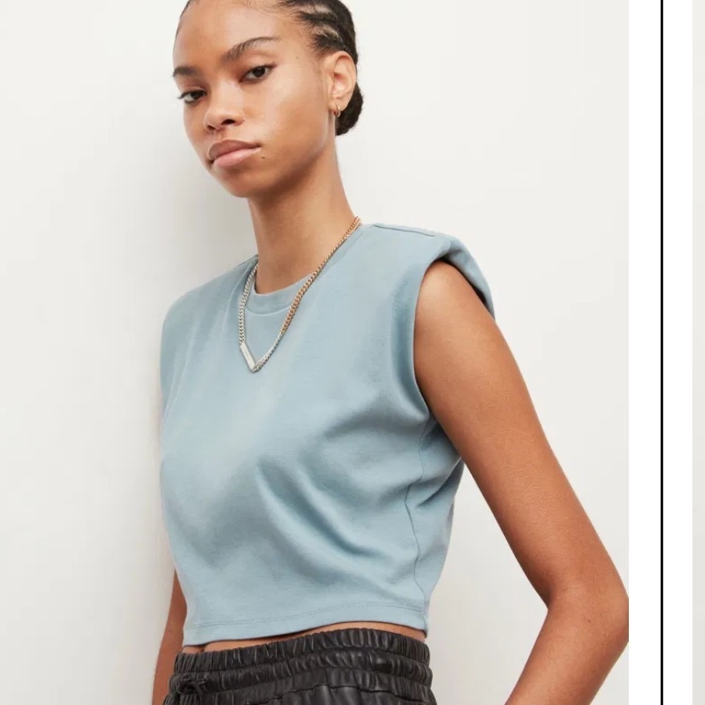 All Saints Blue Crop Top
